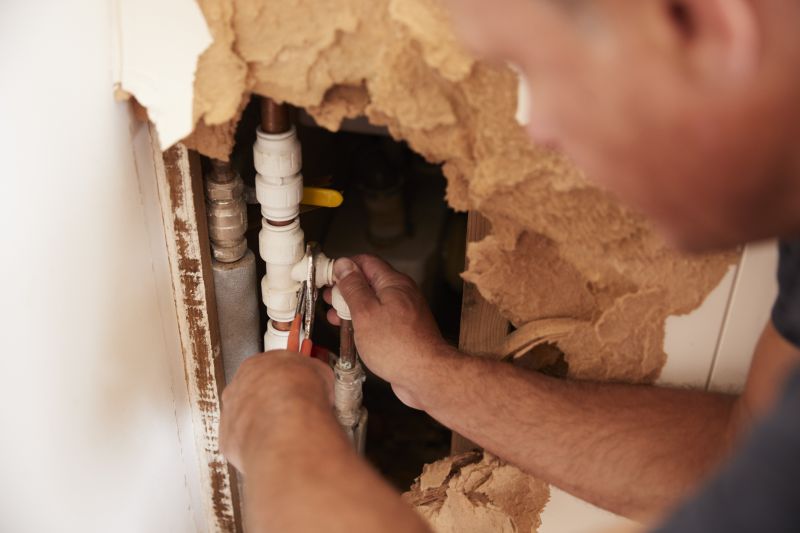 Plumbing and Electrical Fixes